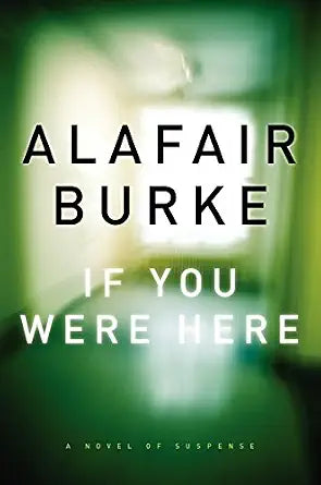 If You Were Here: A Novel of Suspense cover image