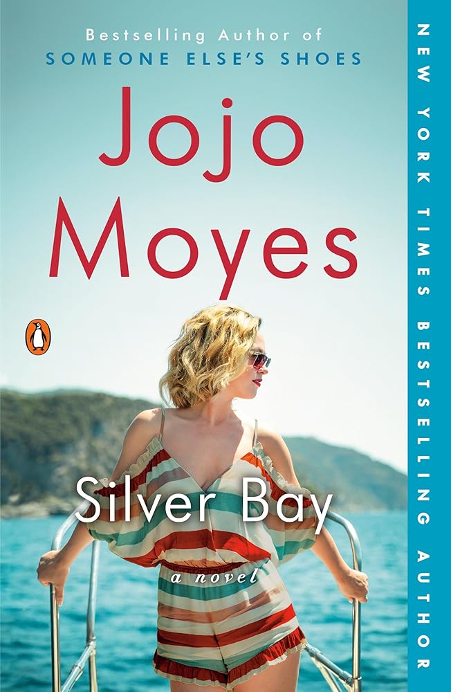 Silver Bay: A Novel cover image
