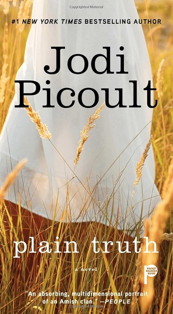 Plain Truth: A Novel cover image