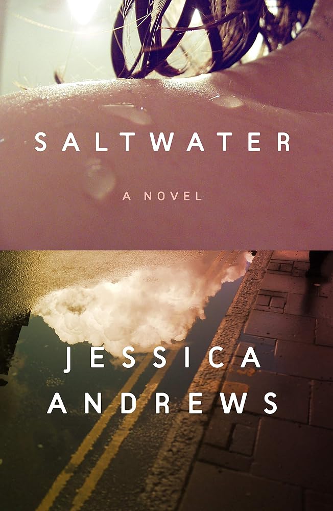 Saltwater: A Novel cover image