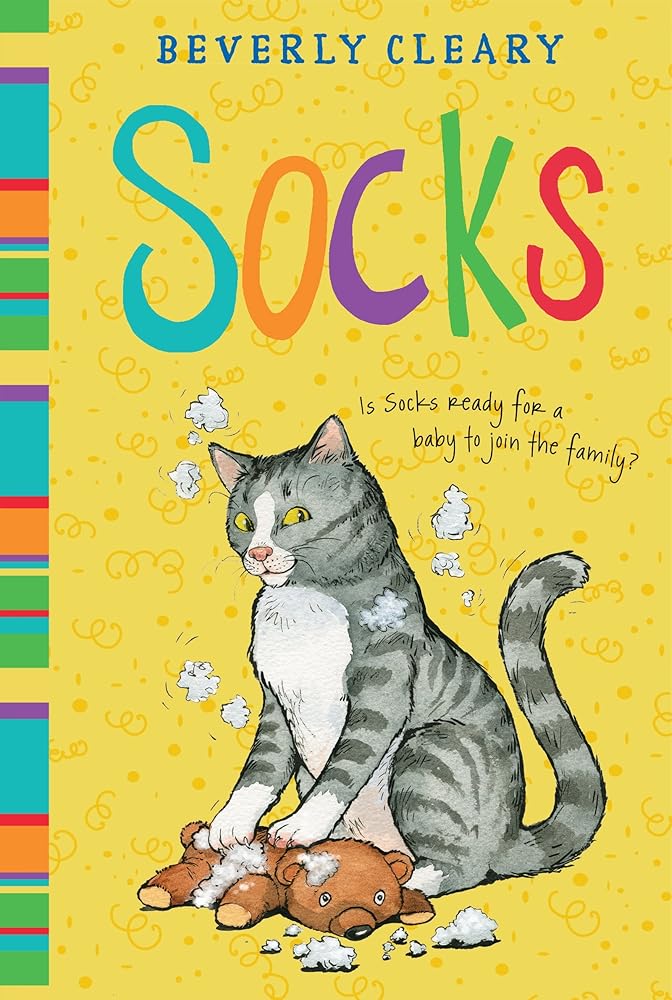 Socks cover image