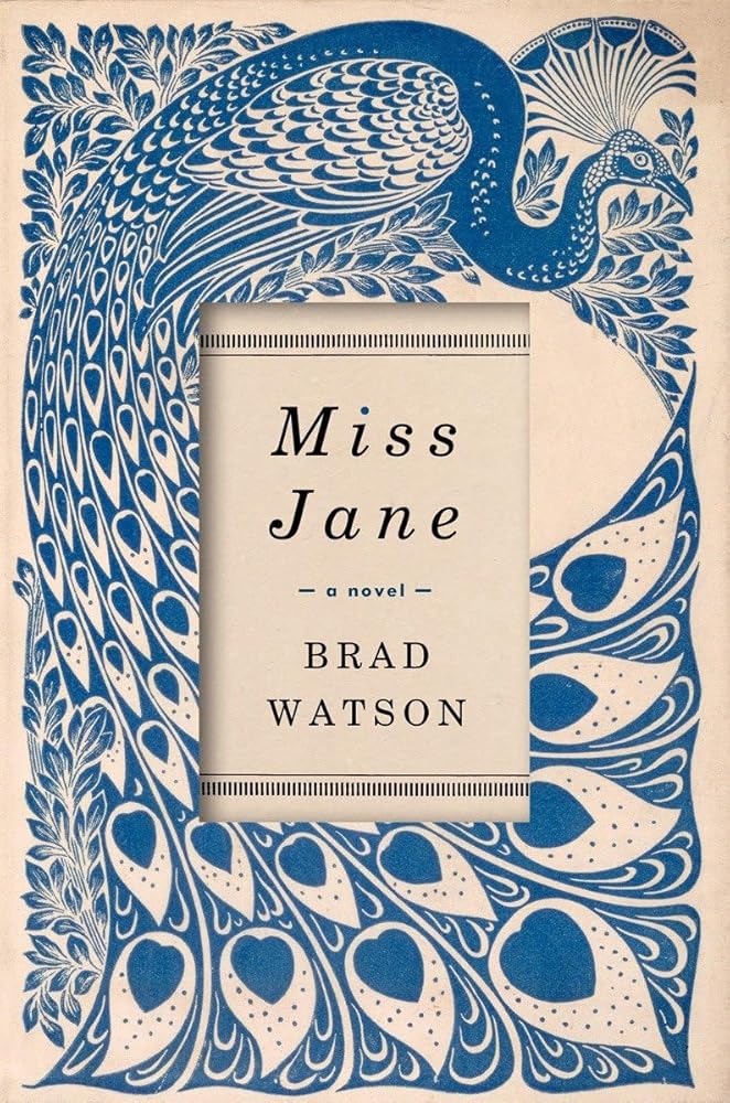 Miss Jane: A Novel cover image