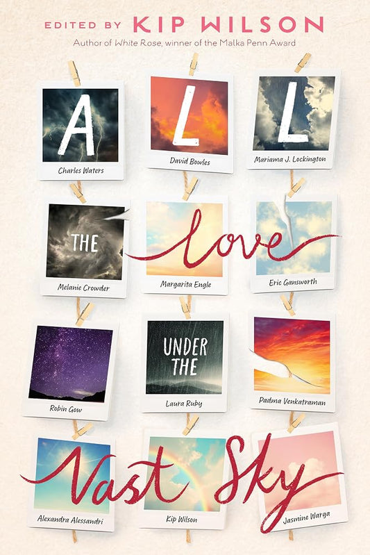 All the Love Under the Vast Sky cover image