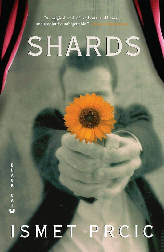 Shards: A Novel cover image