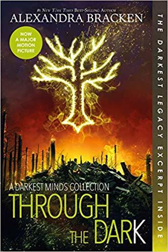Through the Dark cover image