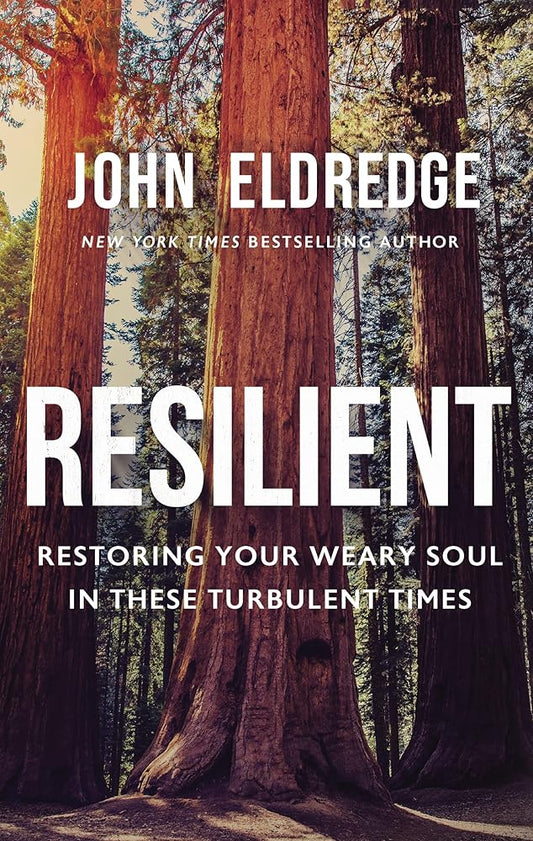 Resilient: Restoring Your Weary Soul in These Turbulent Times cover image
