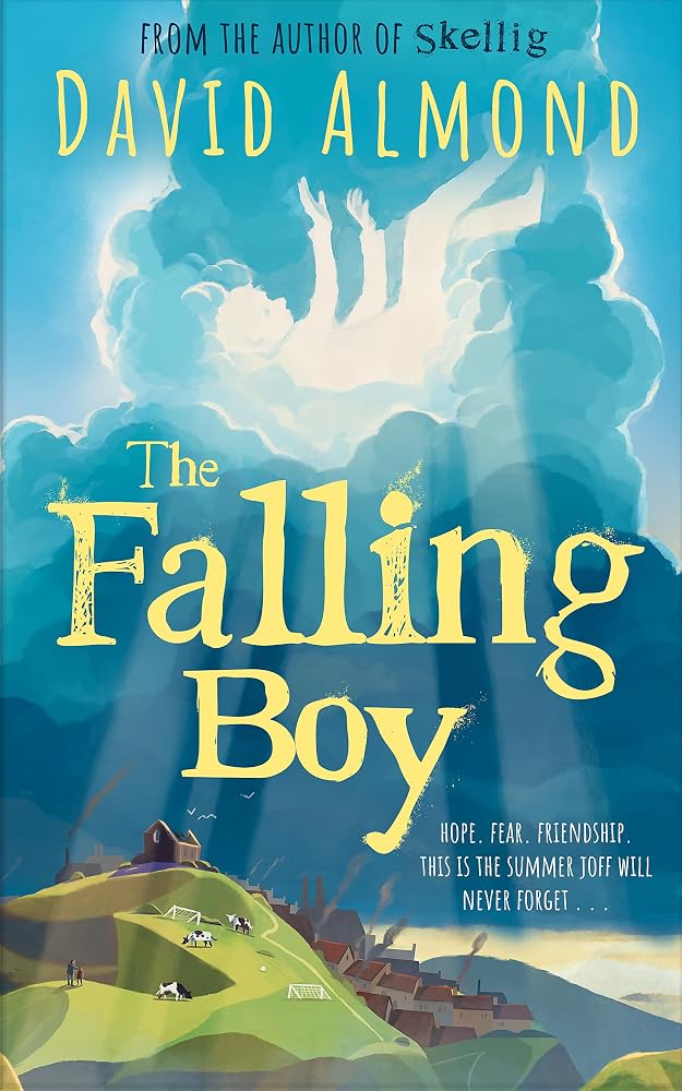 The Falling Boy cover image