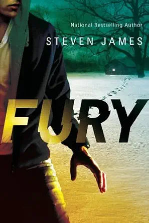 Fury cover image