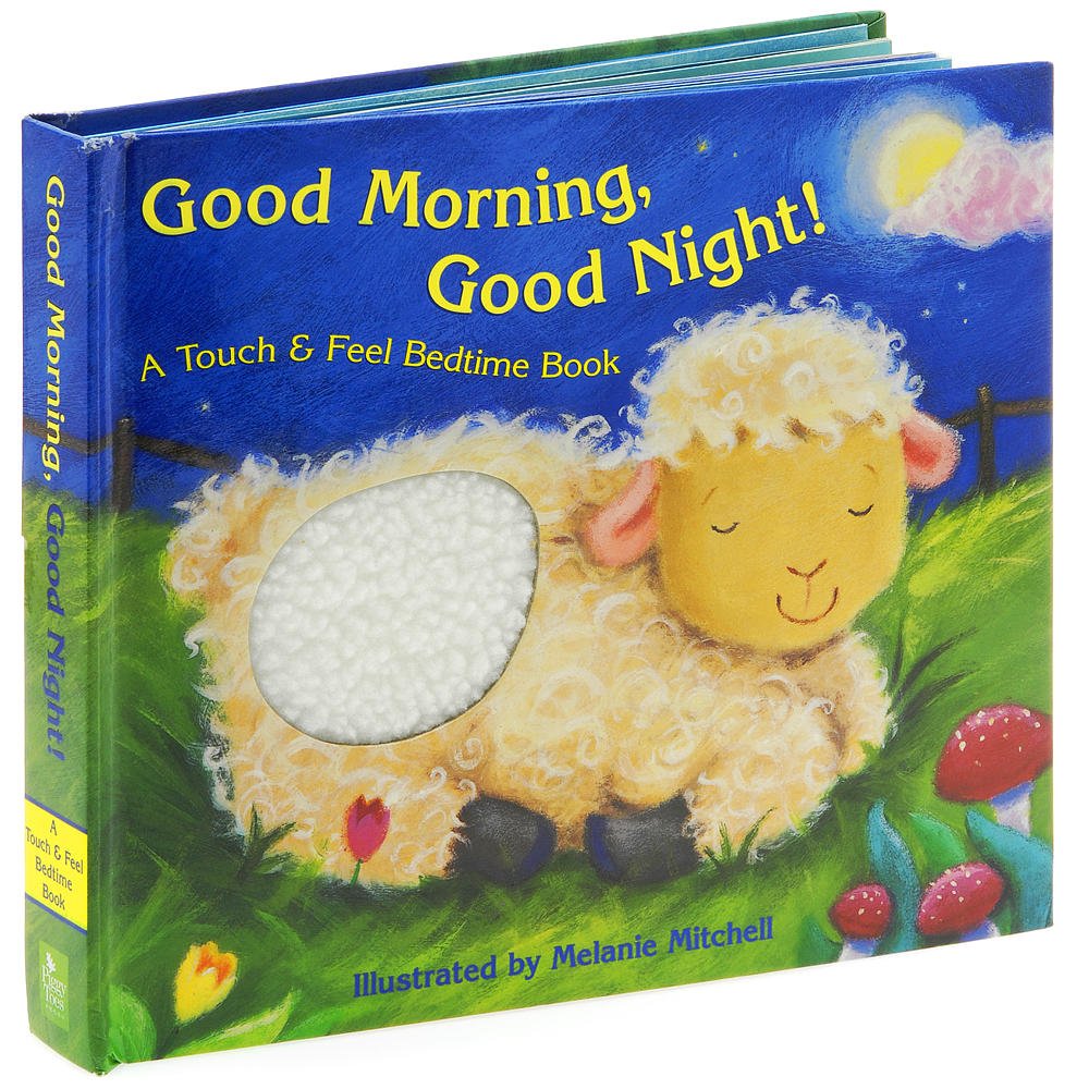 Good Morning Good Night cover image