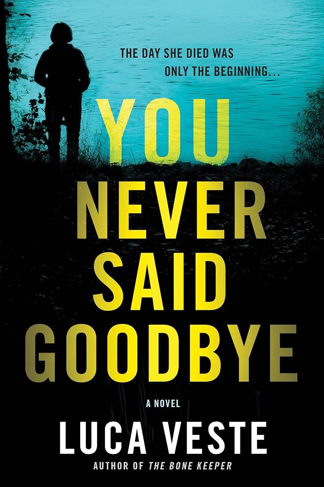 You Never Said Goodbye: A Novel cover image