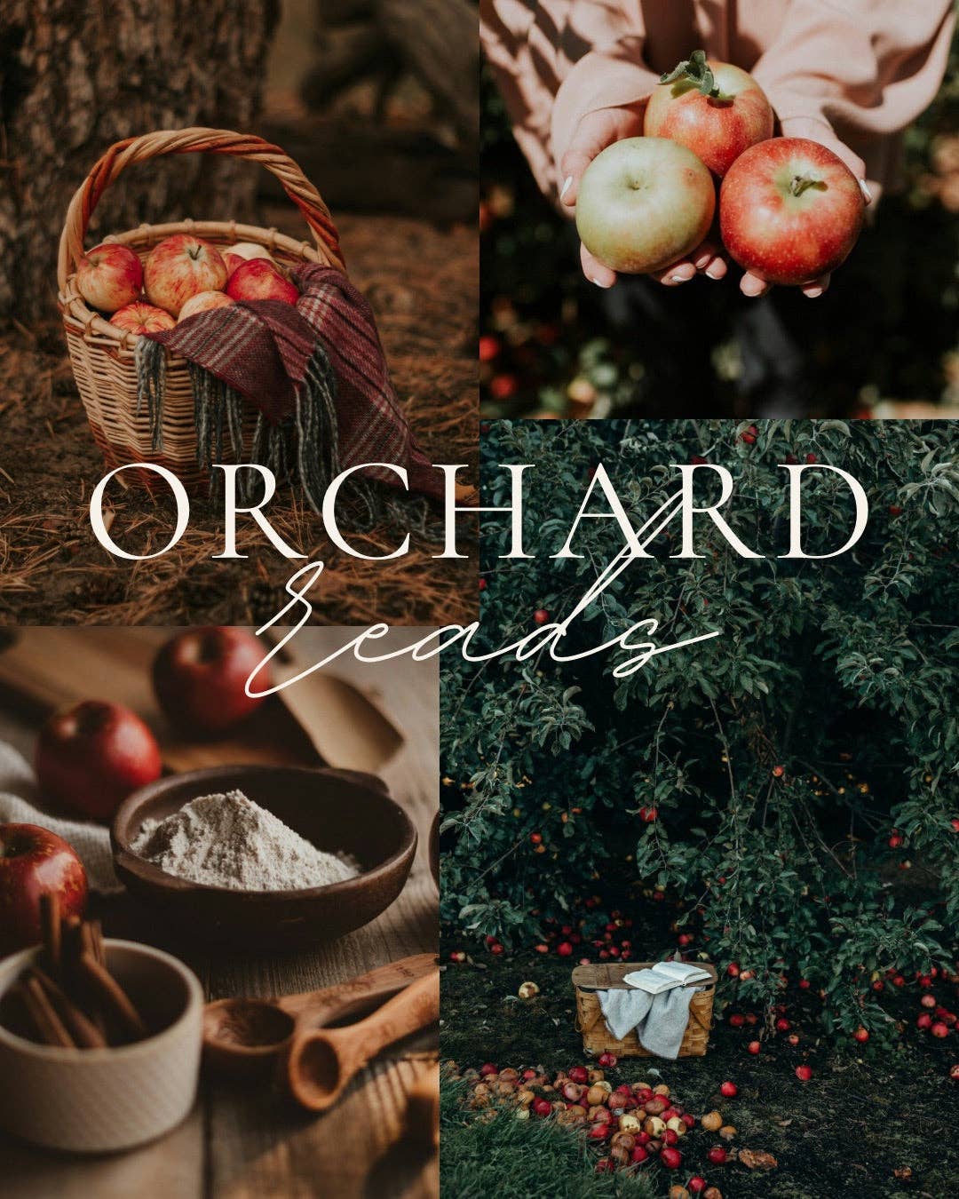 Orchard Reads Candle